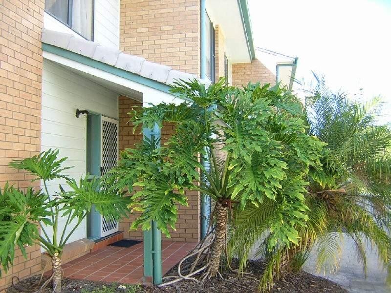 3/377 Charlton Esplanade, Scarness QLD 4655