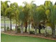 10 Daydream Drive, Kawungan QLD 4655