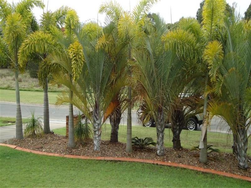 10 Daydream Drive, Kawungan QLD 4655