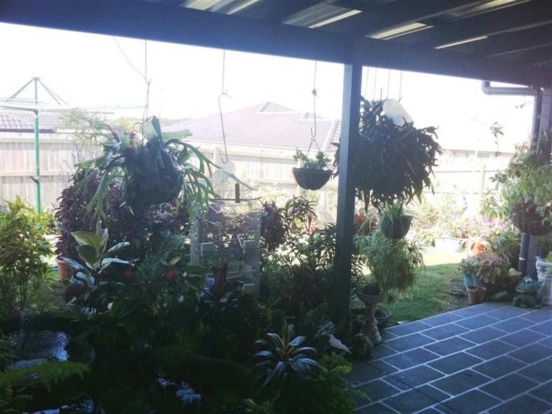 7 Teresa Street, Nikenbah QLD 4655