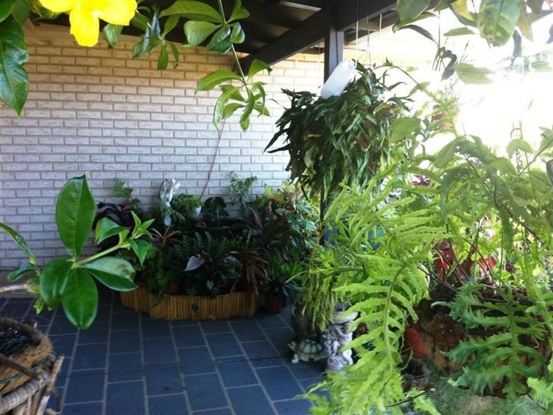 7 Teresa Street, Nikenbah QLD 4655