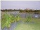 3 Mermaid Court, Eli Waters QLD 4655