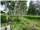 43 Ladbroke Crescent, Urangan QLD 4655