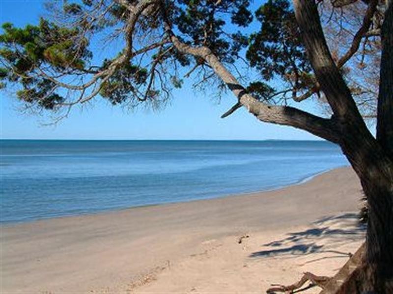 3 Shellcot Street, Toogoom QLD 4655