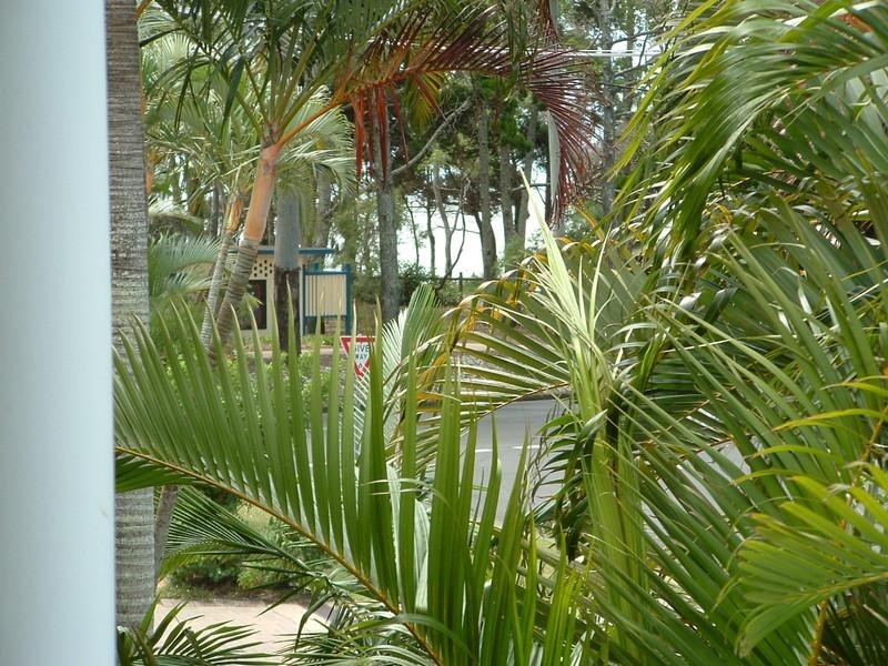 4/448 Charlton Esplanade, Torquay QLD 4655