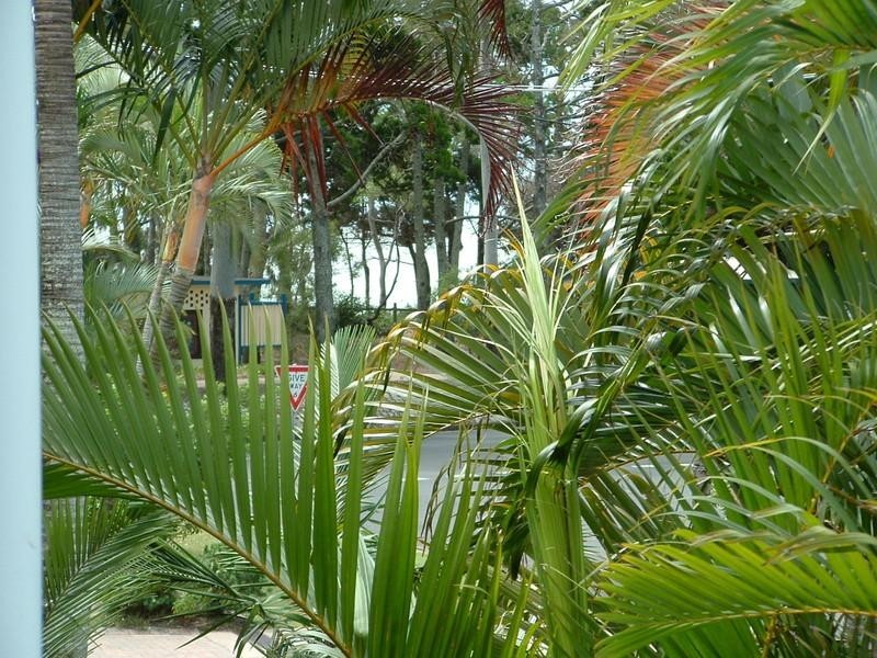 4/448 Charlton Esplanade, Torquay QLD 4655