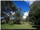 343 Condor Drive, Sunshine Acres QLD 4655