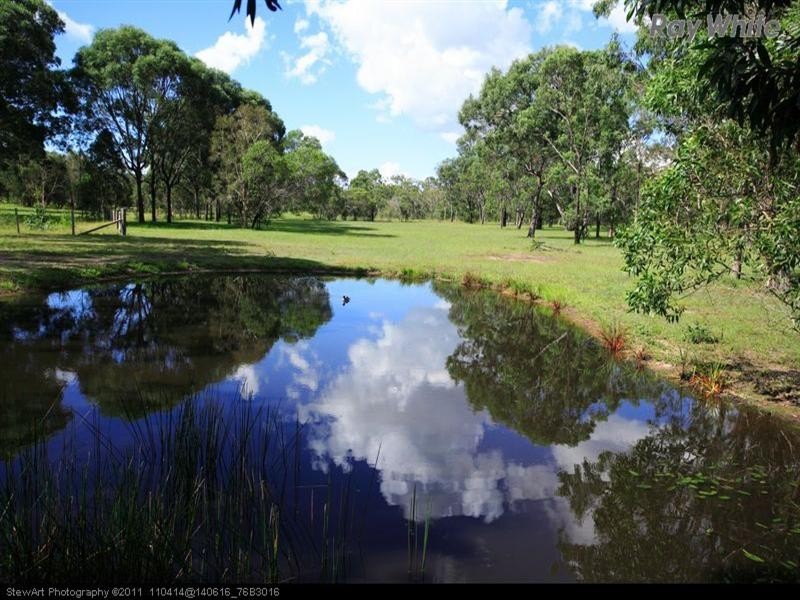 343 Condor Drive, Sunshine Acres QLD 4655