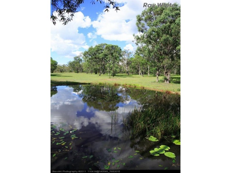 343 Condor Drive, Sunshine Acres QLD 4655