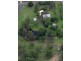 343 Condor Drive, Sunshine Acres QLD 4655