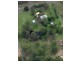 343 Condor Drive, Sunshine Acres QLD 4655
