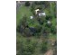 343 Condor Drive, Sunshine Acres QLD 4655
