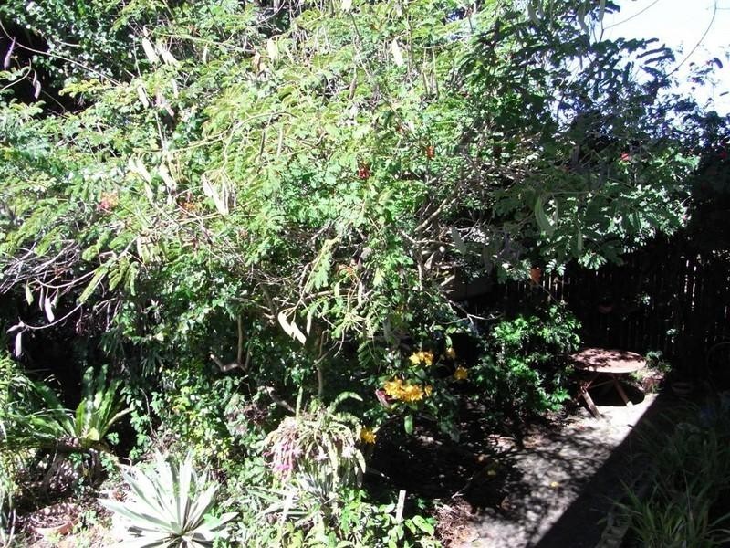 38 Ann Street, Torquay QLD 4655