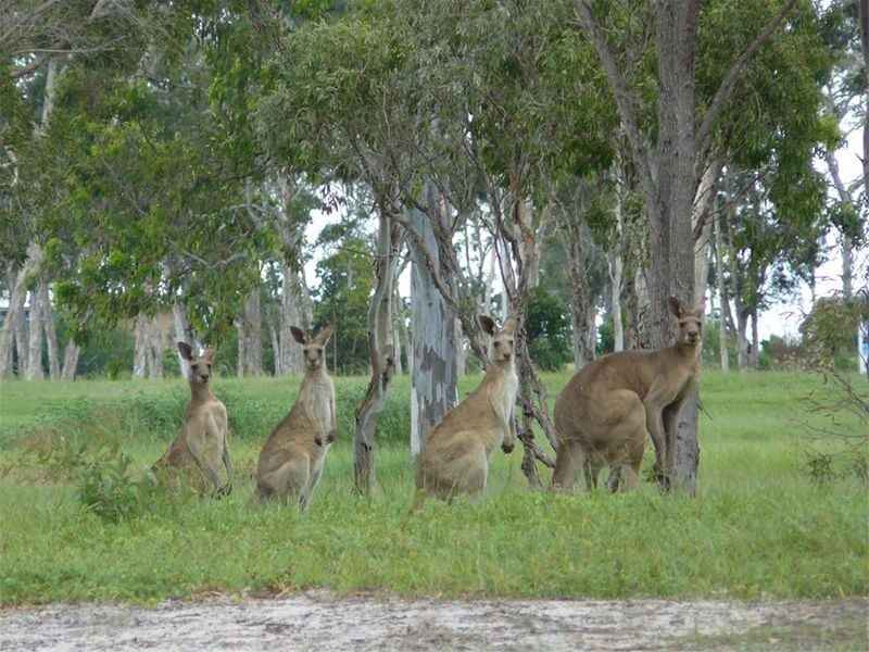 4 Lakeside Drive, Burrum Heads QLD 4659