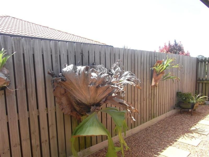 30 St Joseph Drive, Urraween QLD 4655