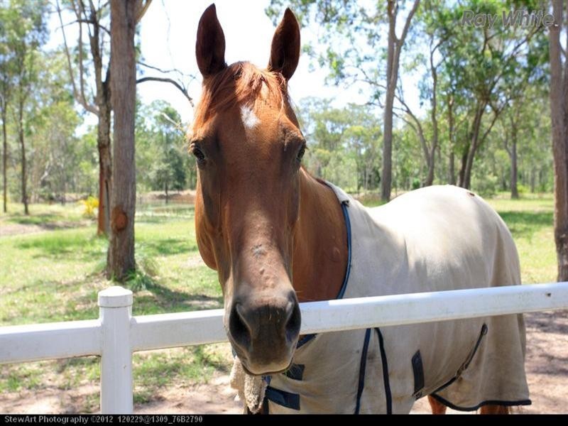 2896 Maryborough Hervey Bay Road, Sunshine Acres QLD 4655