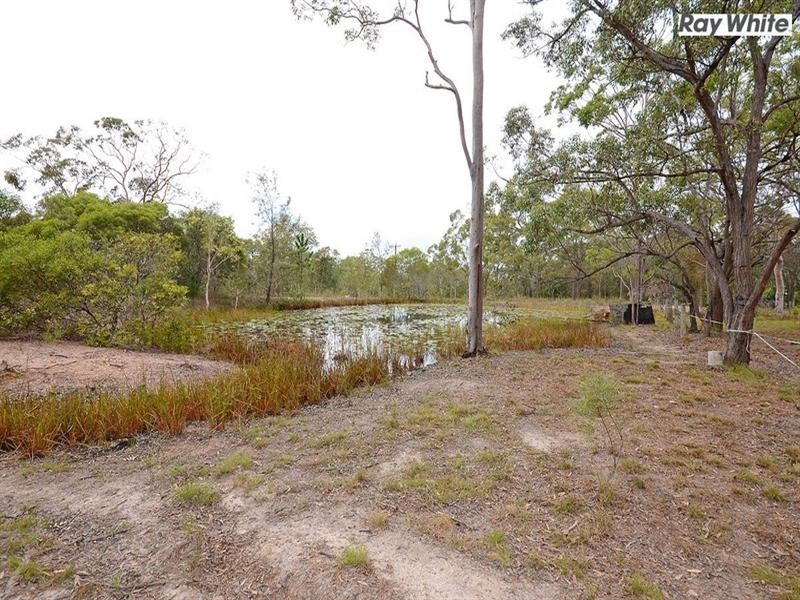 55 Dundowran Road, Walligan QLD 4655