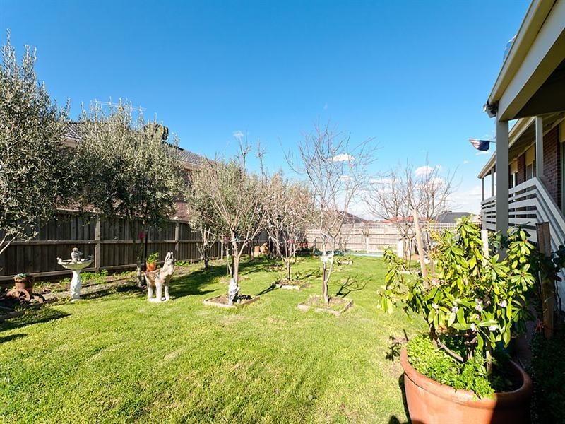 13 Consort Place, Craigieburn VIC 3064