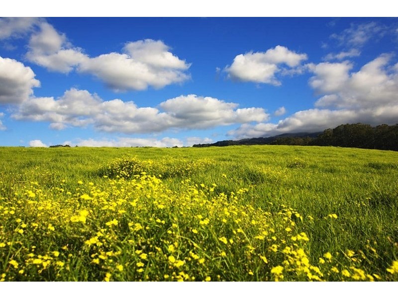 40 Lakeview Drive, Mickleham VIC 3064