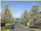 46 Excelsior Heights, Craigieburn VIC 3064