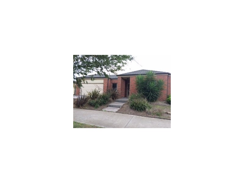 73 Bellfield Drive, Craigieburn VIC 3064