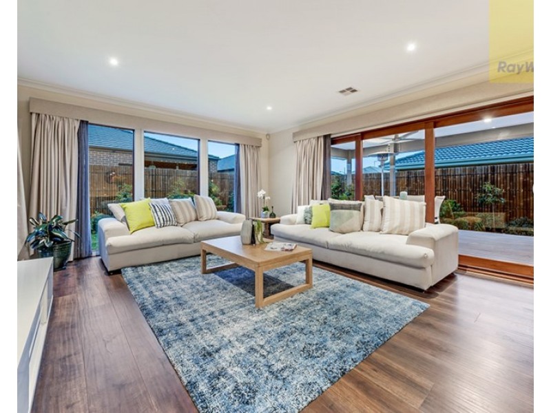 19 Scoria Circuit, Craigieburn VIC 3064