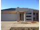 19 Rockwall Drive, Craigieburn VIC 3064