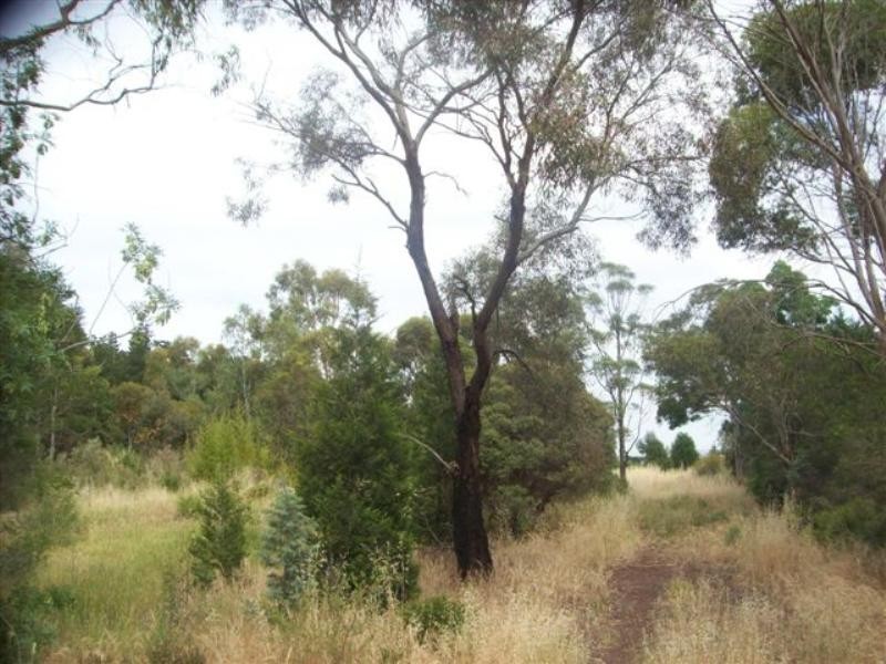 25a Stewart Grove, Beveridge VIC 3753