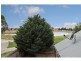 11 Merrigan Court, Roxburgh Park VIC 3064
