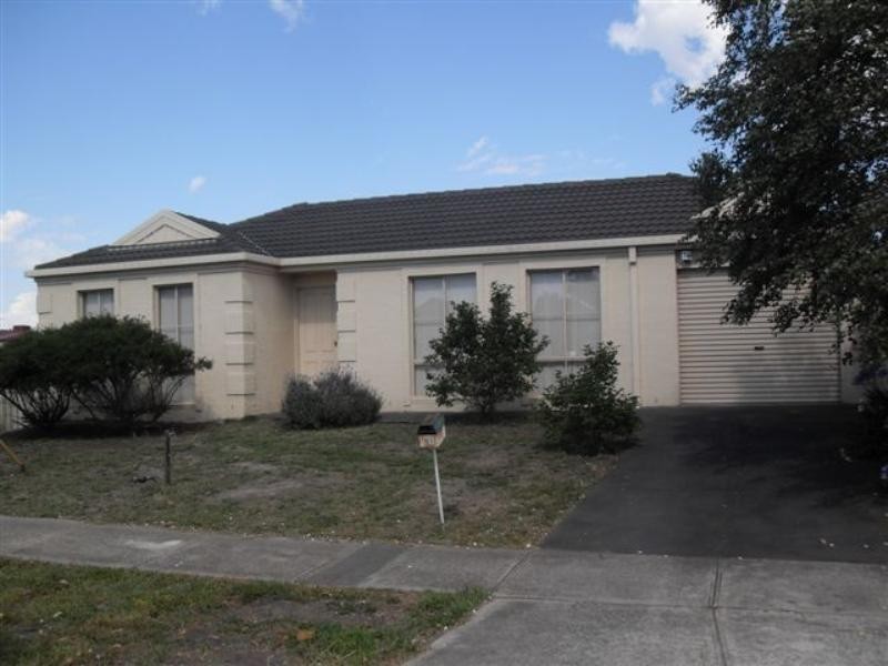 81 Willmott Drive, Craigieburn VIC 3064