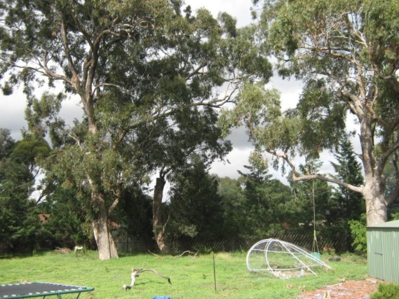 21 Elphinstone Boulevard, Greenvale VIC 3059