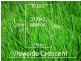 12402 Viewside Crescent, Craigieburn VIC 3064