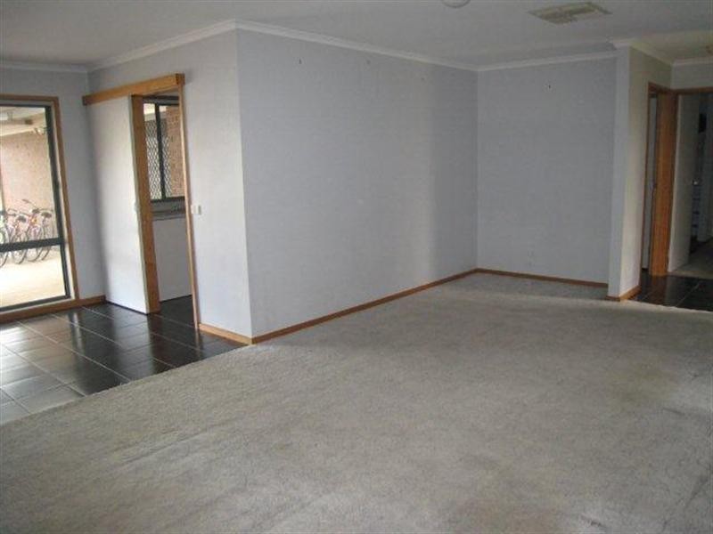 41 Newlyn Drive, Craigieburn VIC 3064