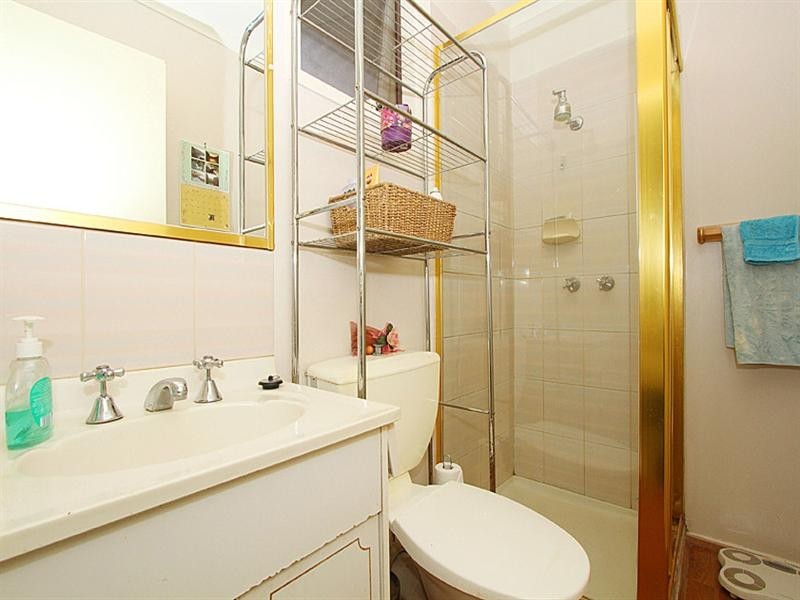 113 Dianne Avenue, Craigieburn VIC 3064