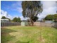113 Dianne Avenue, Craigieburn VIC 3064