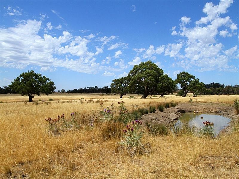 655 Summerhill Road, Craigieburn VIC 3064