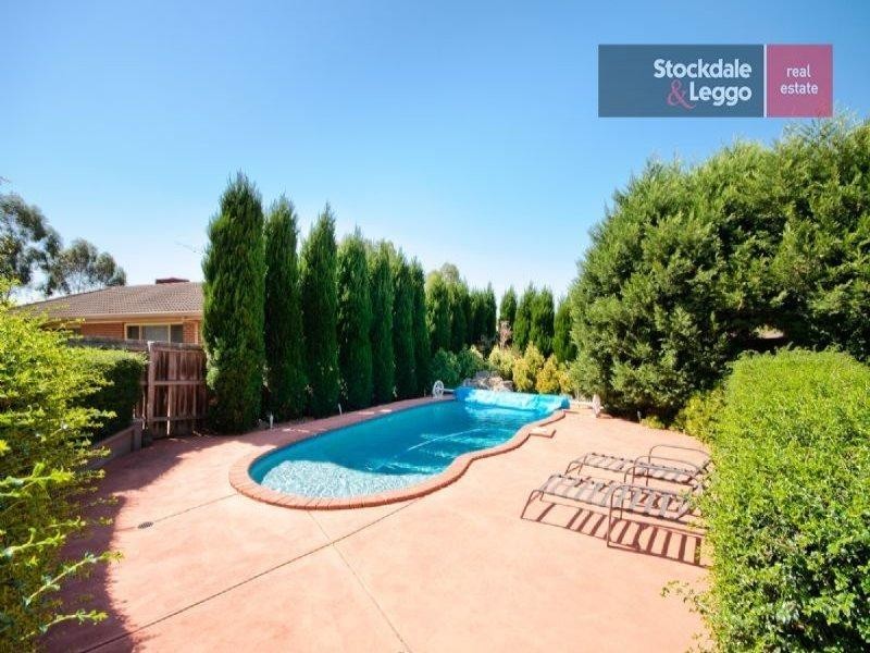 6 Falmer Place., Craigieburn VIC 3064