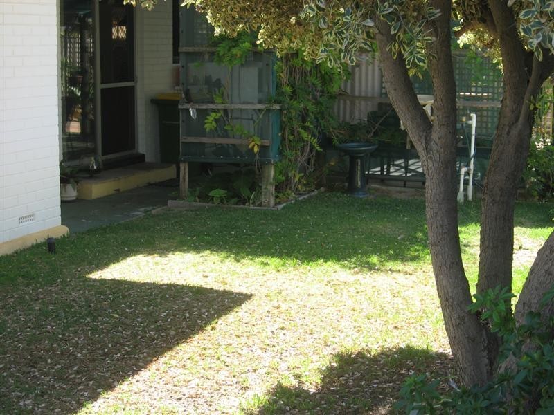 56 Andromeda Street, Rockingham WA 6168