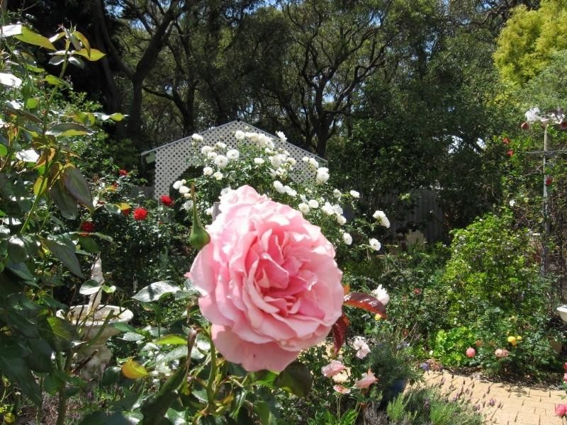 11 Bugendore Street, Maida Vale WA 6057