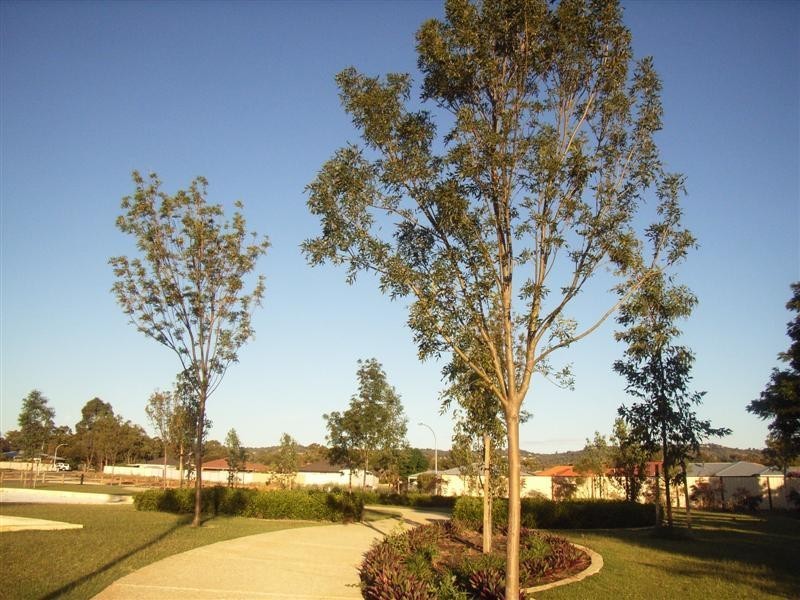 7 Agraulia Court, High Wycombe WA 6057