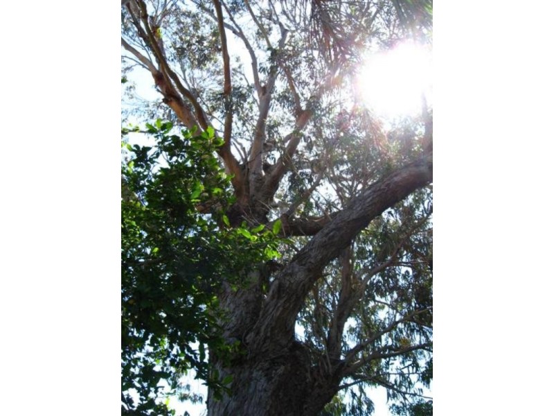 14A Margery Road, High Wycombe WA 6057