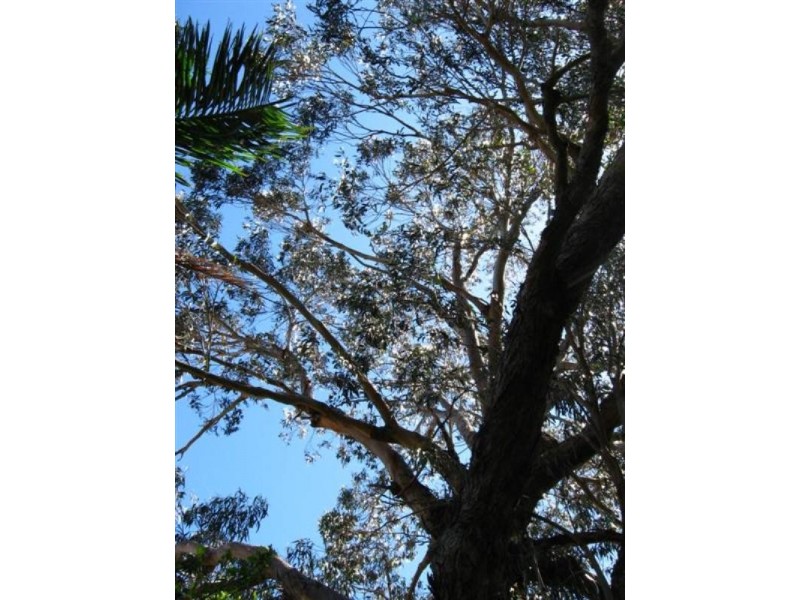 14A Margery Road, High Wycombe WA 6057