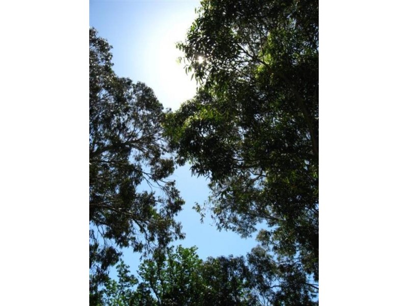 14A Margery Road, High Wycombe WA 6057