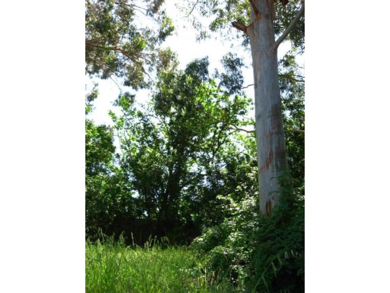 14A Margery Road, High Wycombe WA 6057