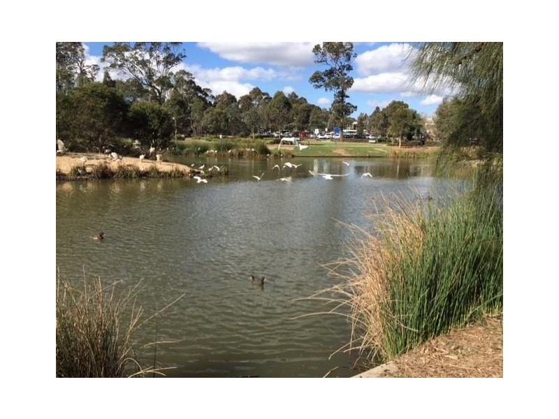 416/5 Vermont Crescent, Riverwood NSW 2210