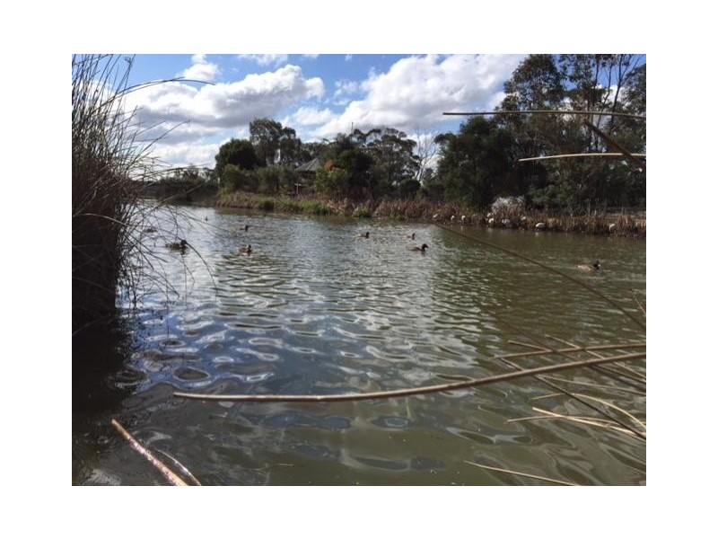 416/5 Vermont Crescent, Riverwood NSW 2210