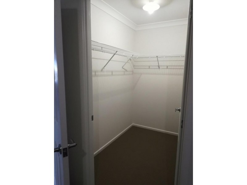 59 Woodrose Circuit, Pimpama QLD 4209