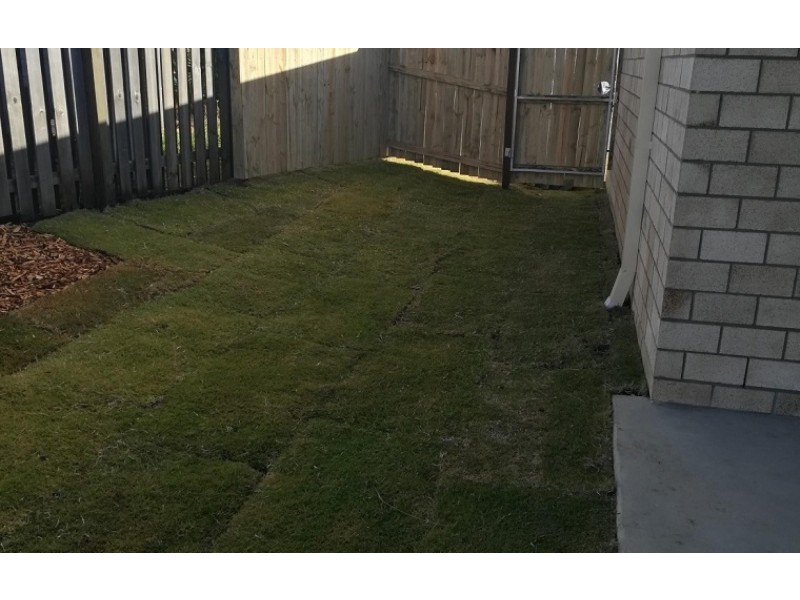 59 Woodrose Circuit, Pimpama QLD 4209