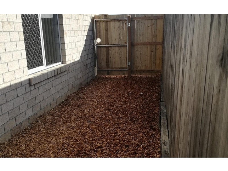 59 Woodrose Circuit, Pimpama QLD 4209