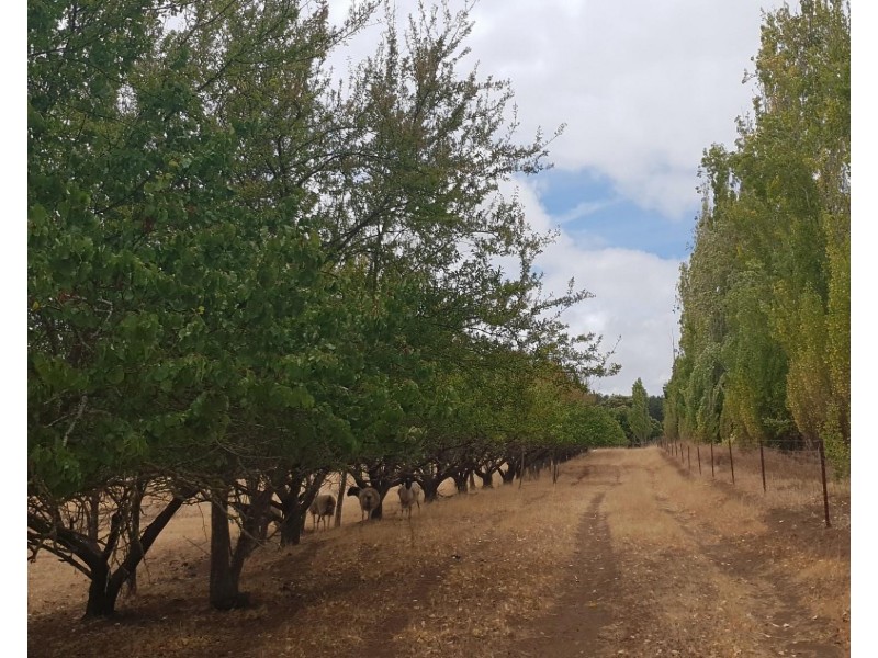 12 Palmers Road, Bridgetown WA 6255